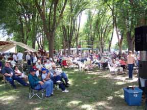 Blue Grass Festival Image