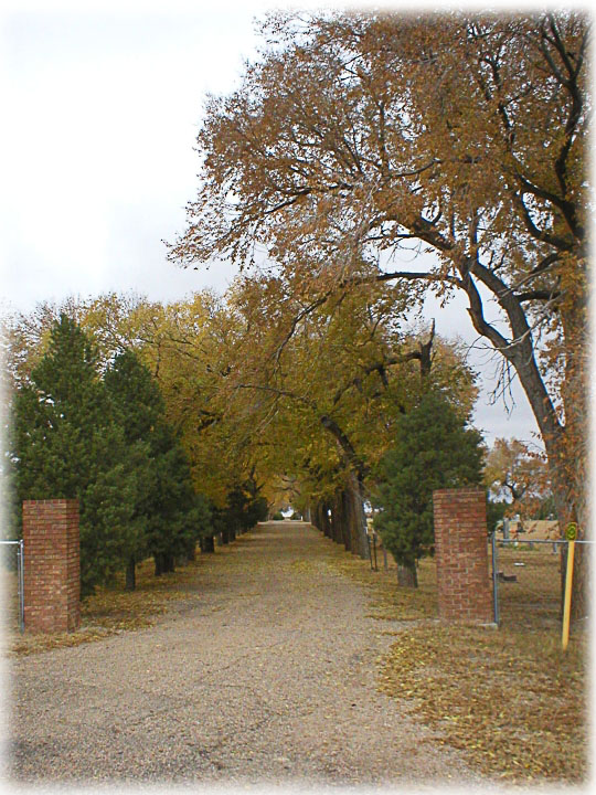Cemetery